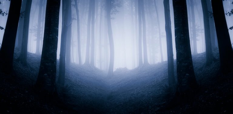 Midnight’s Emissary Excerpt