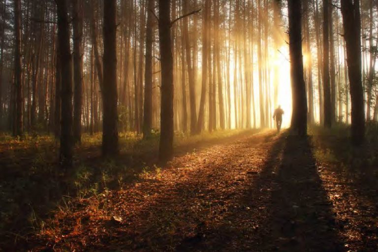 Pathfinder’s Way Excerpt