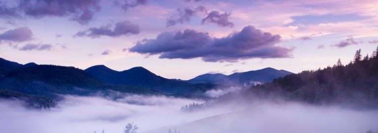 The Wind’s Call Excerpt